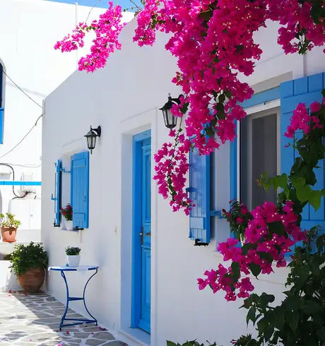 A greek house surrounded by plants and flowers