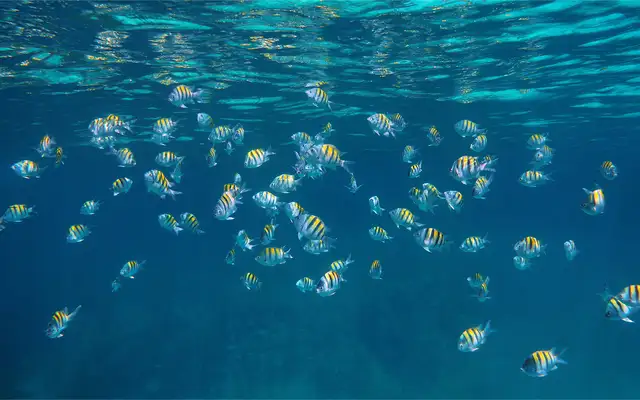 4 nights Caribbean from Port Canaveral (Orlando)