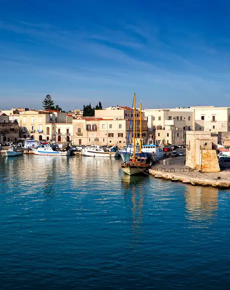 A View of the Coast of Trani in Italy