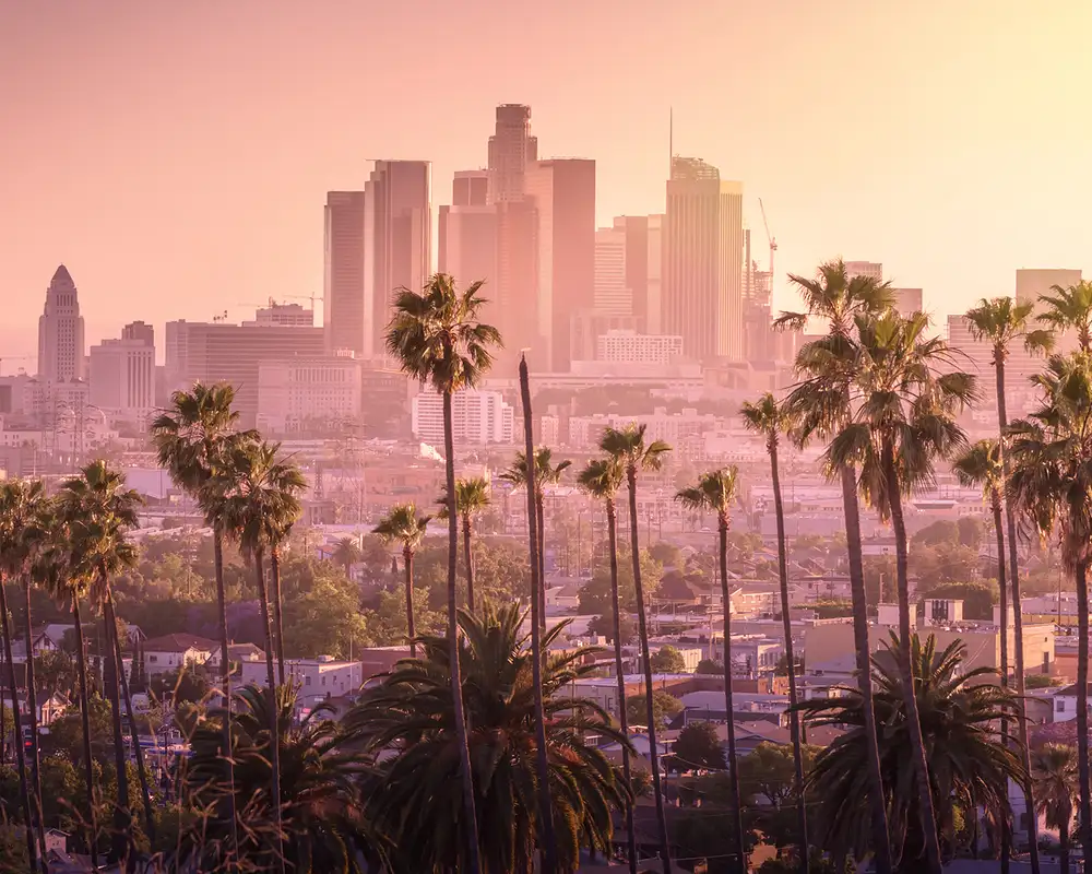 The Skyline of Los Angeles during a sunset
