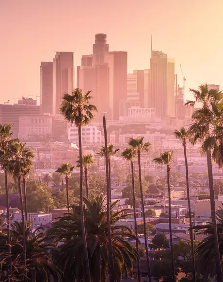 The Skyline of Los Angeles during a sunset