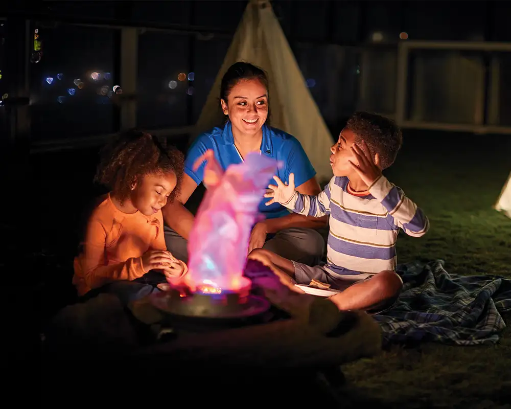 A Celebrity Camp at Sea Counsellor