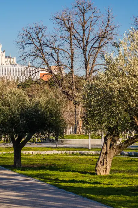 The Casa De Campo Park in Madrid