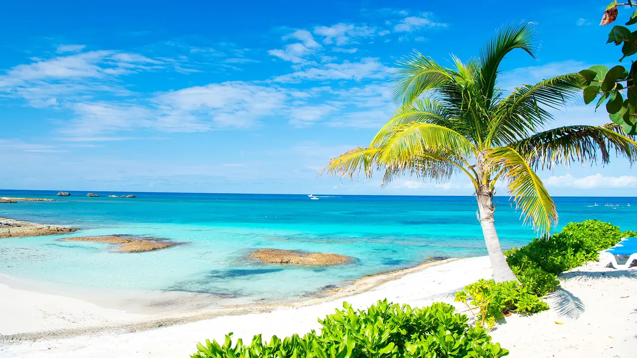 The shore of Great Stirrup Cay in the Bahamas
