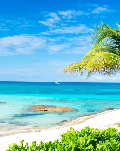 The shore of Great Stirrup Cay in the Bahamas
