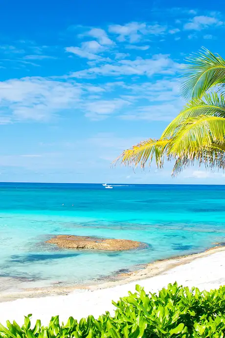 The shore of Great Stirrup Cay in the Bahamas
