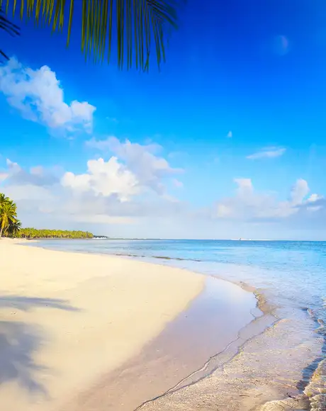 A sunny beach in bermuda
