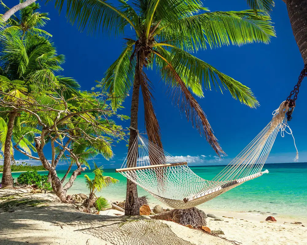 An image showing a hammock between two palm trees on a Fiji Beach