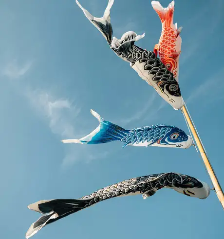 Traditional Japanese Fish Kites