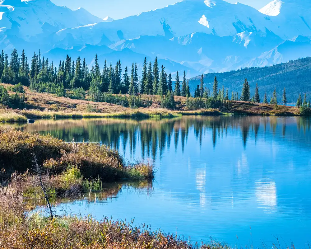 Denali National Park and Wonder lake with Mountain Background