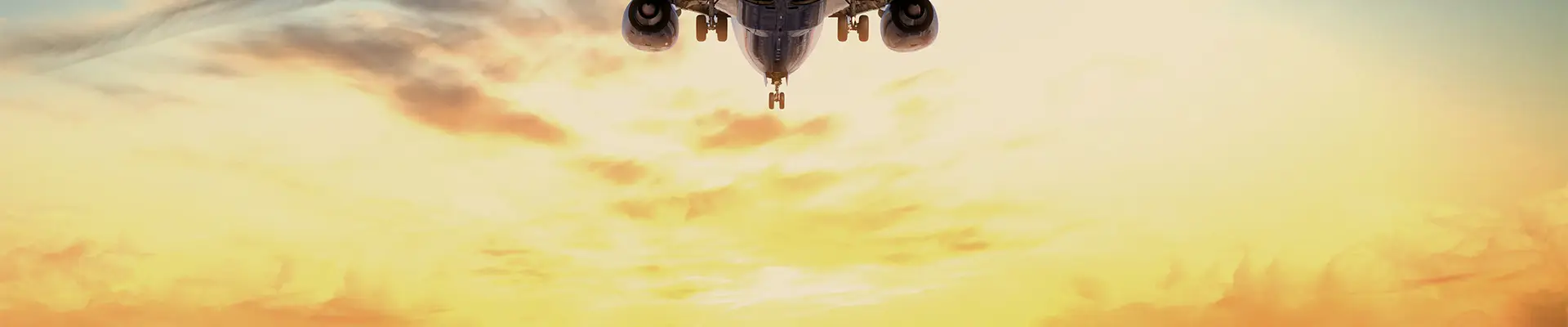 A Plane from below