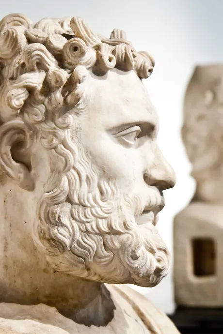 Multiple Statue Busts in a Museum