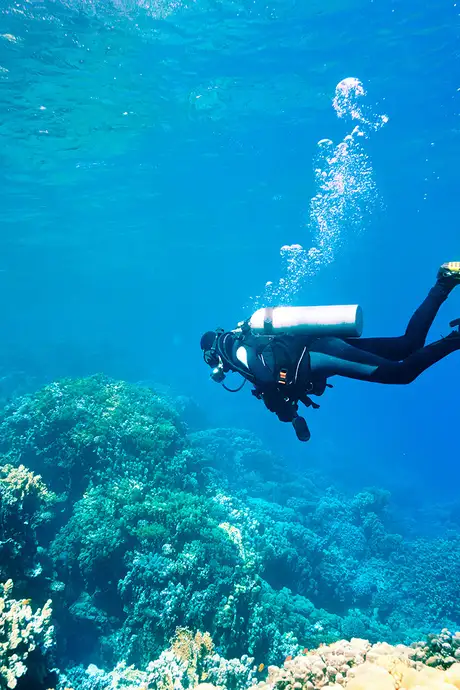 A scuba diver exploring a coral reef