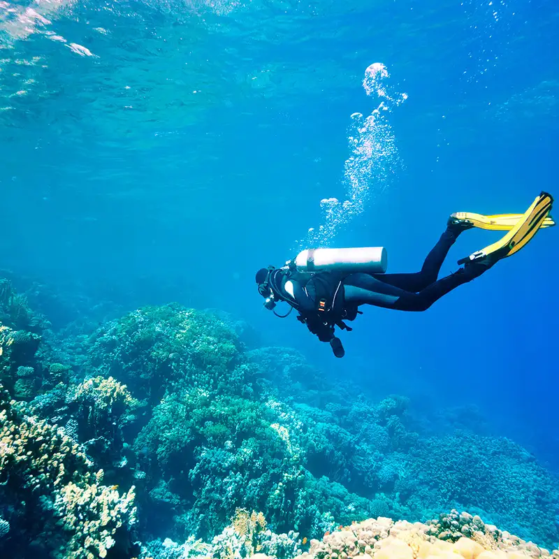A scuba diver exploring a coral reef