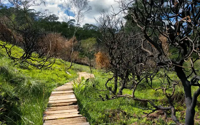 3nt Bali & 16nt Bali to Barrier Reefs
