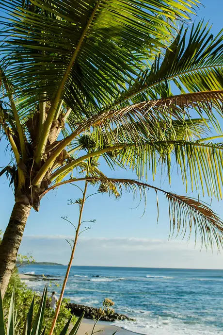 A View of Playa Langosta in Cancun