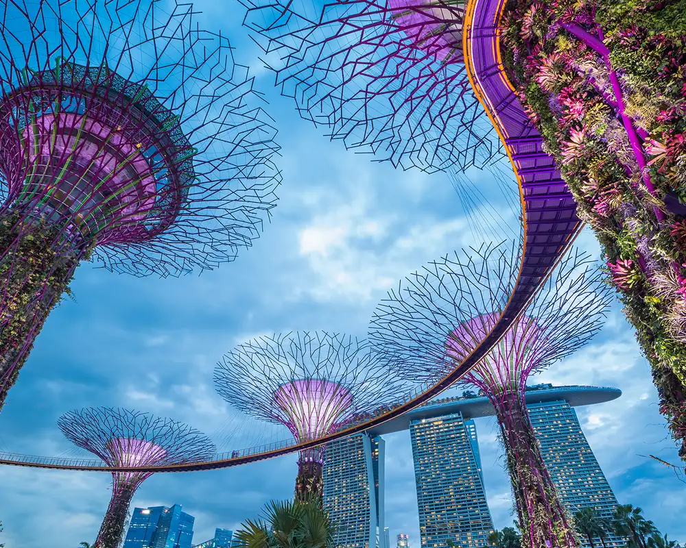 Gardens in the bay in Singapore