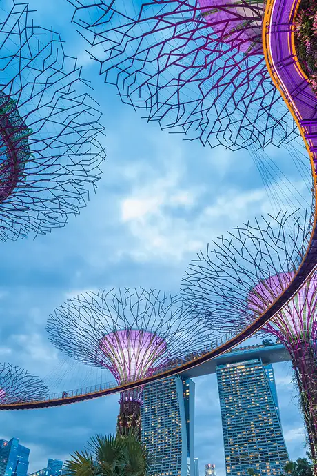 Gardens in the bay in Singapore