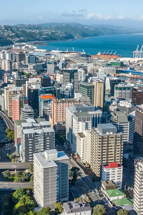 An Aerial View of Wellington, New Zealand