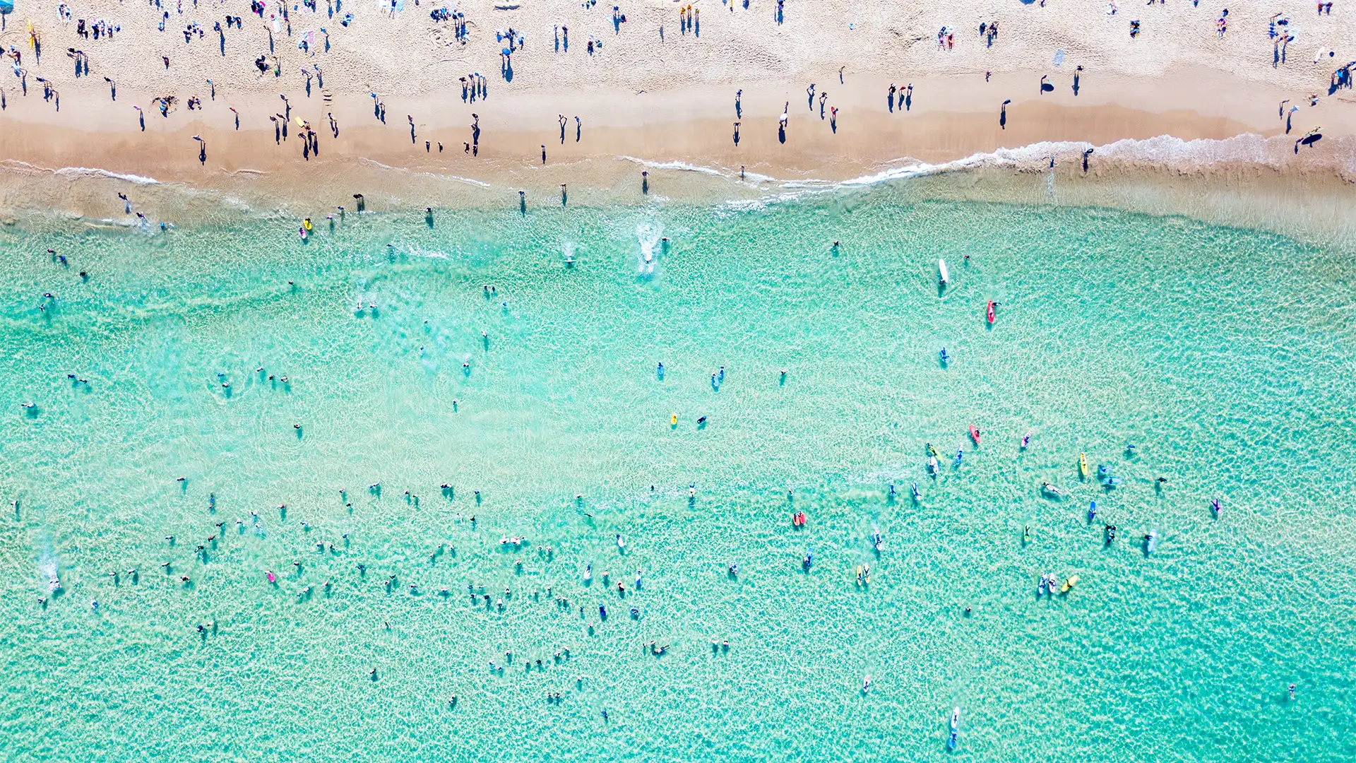 Bondi Beach from above