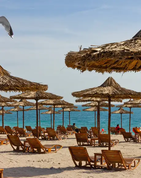 A beach full of shades and lounge chairs on Sir Bani Yas Island