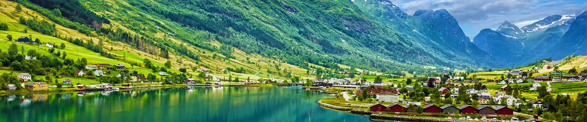 An image of a Norwegian Fjord