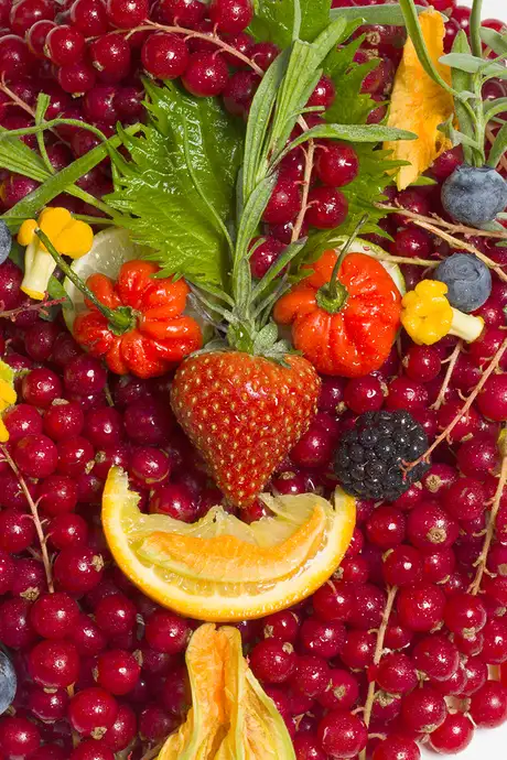 Fruit served at Rudi’s Sel de Mer aboard HAL Ships