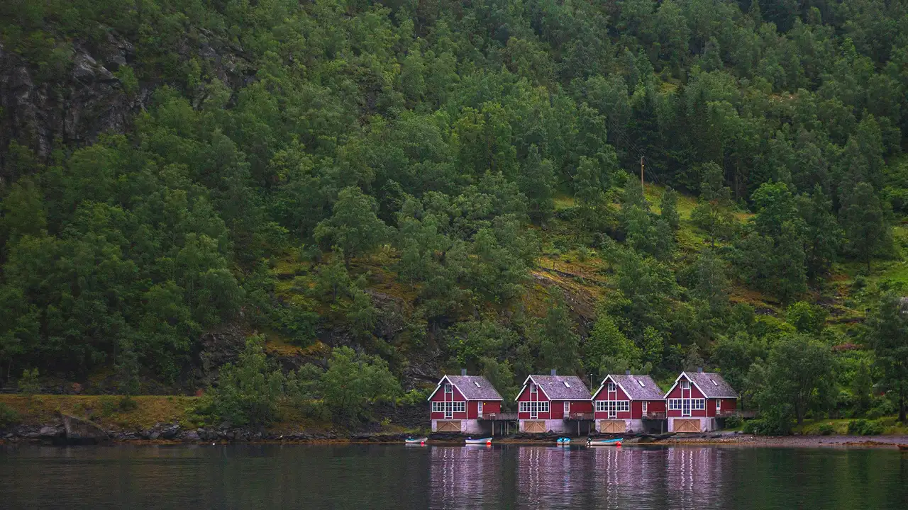 A view of four red houses at the bank of a river and the bottom of a hill covered in trees