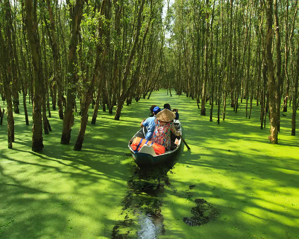A View of people rowing down the Meking River