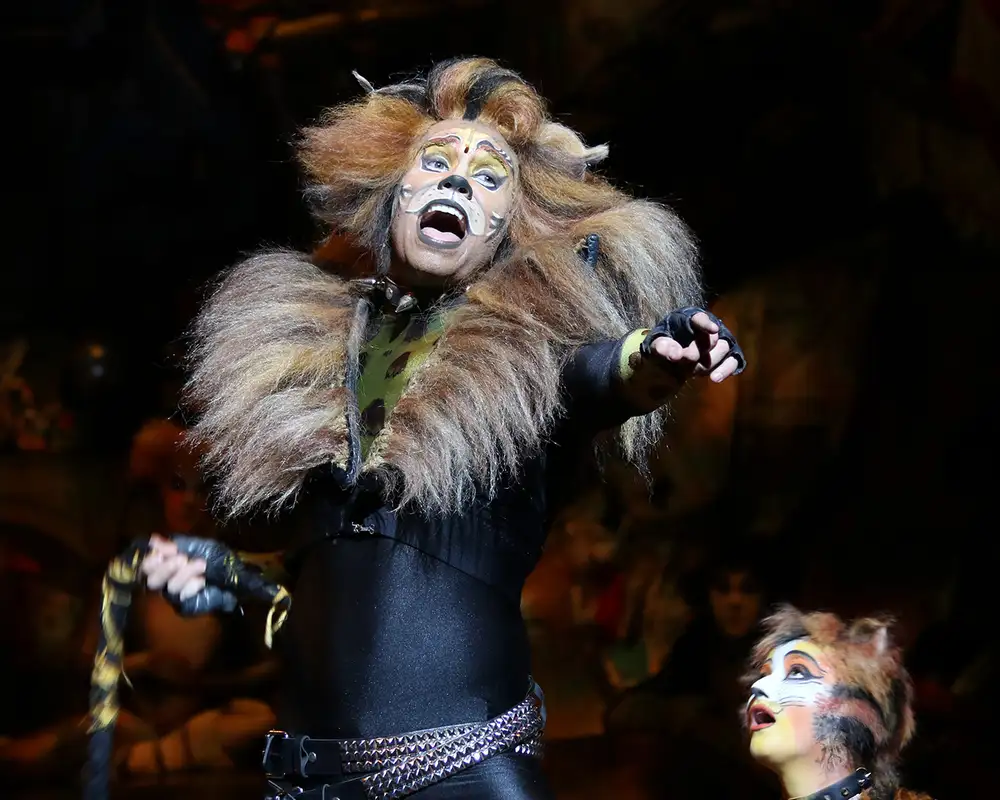 A Performance of Cats aboard a Royal Caribbean Ship