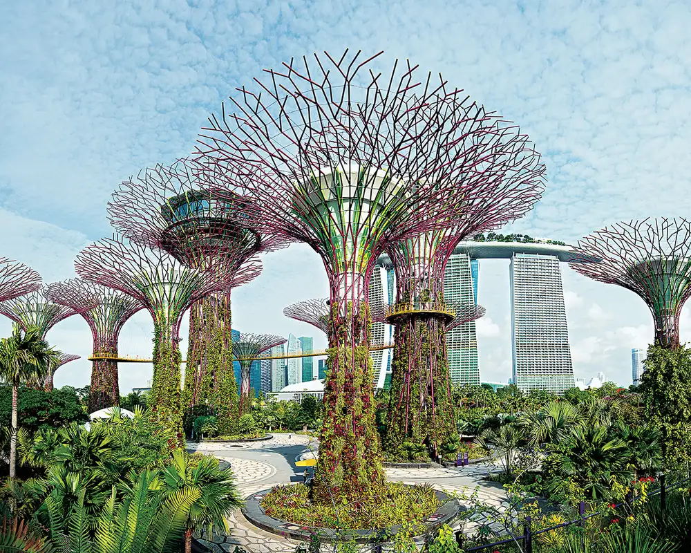 Futuristic vertical gardens shaped like trees, known as Supertrees, at Gardens by the Bay with city skyline and Marina Bay Sands in the background.