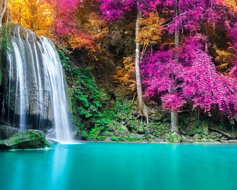 A waterfall surrounded by pink and orange leafs in Thailand