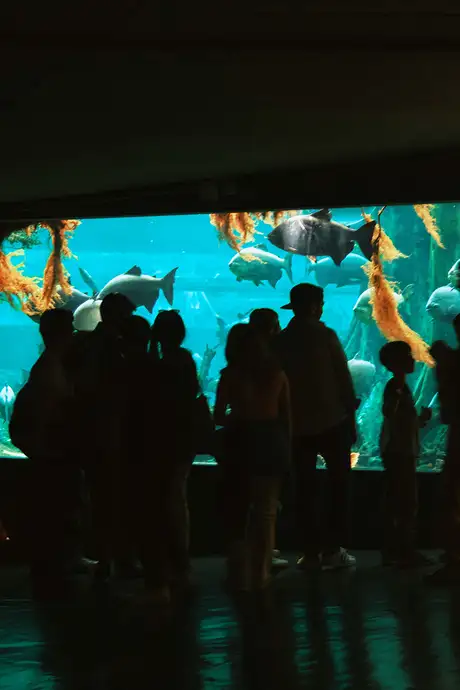 Cosmocaixa Science Museum's Aquarium in Barcelona