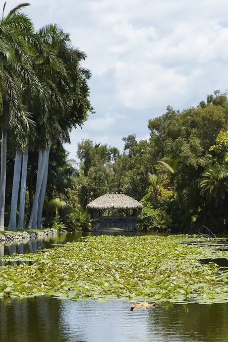 A View of the Bonnet House in Fort Lauderdale, Florida
