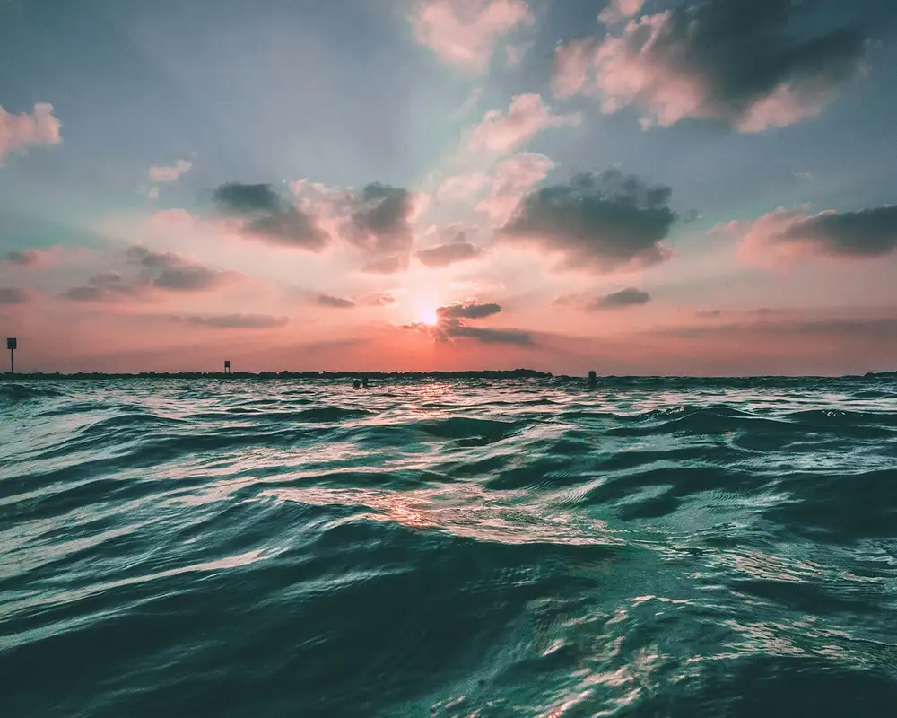 The Ocean