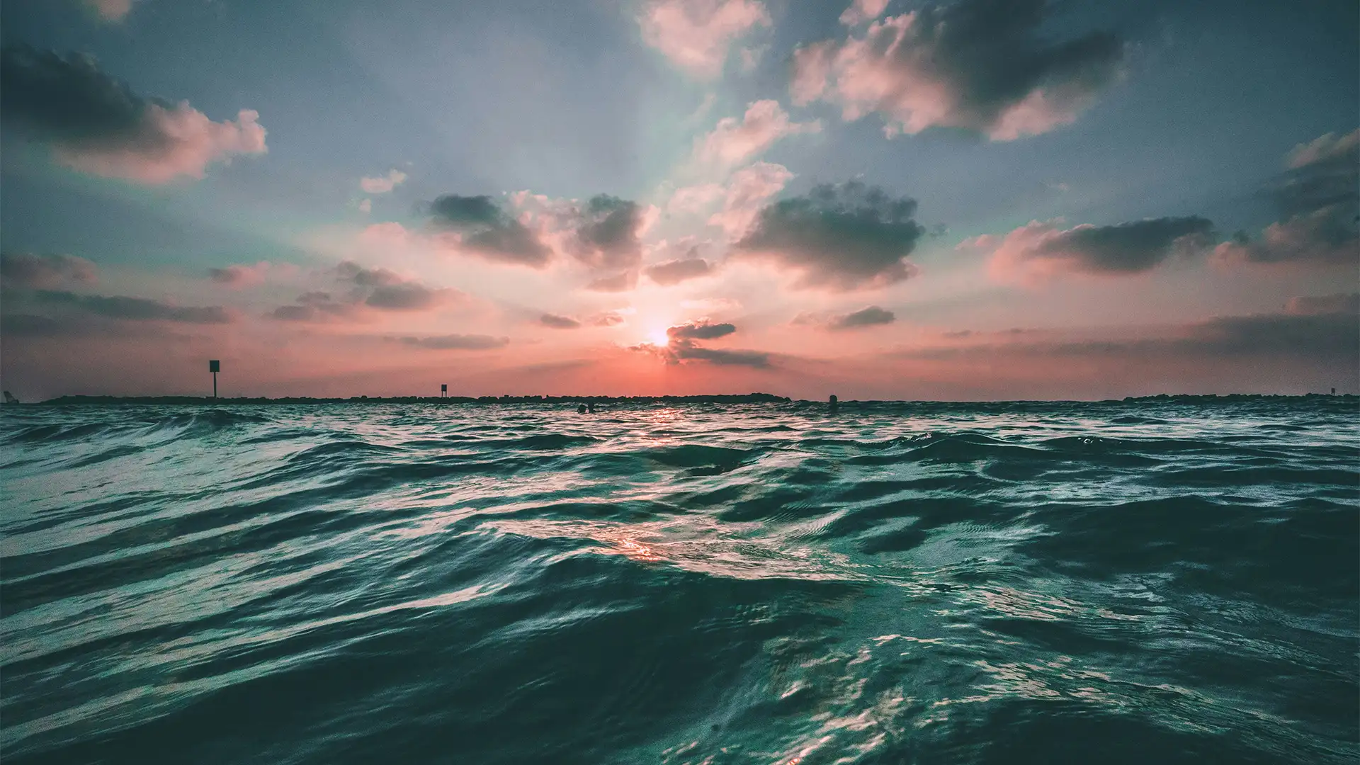 The Ocean