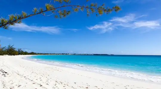 A Beach on Half Moon Cay