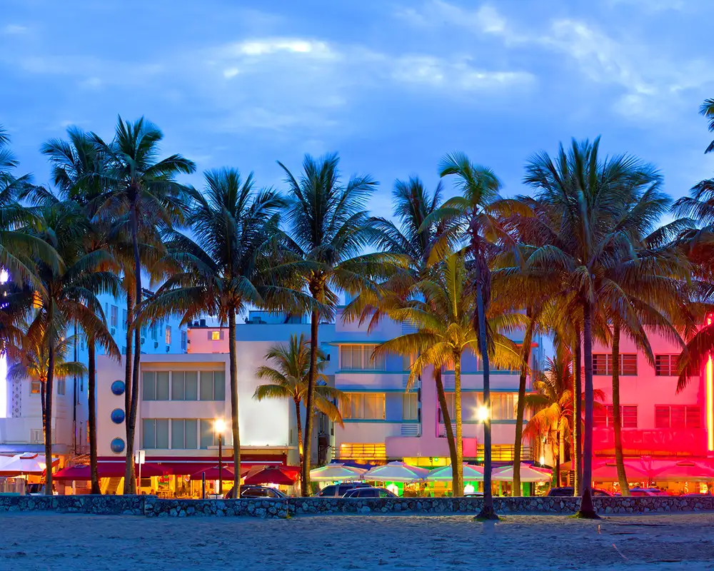 A view of Miami, Florida. Showing buildings lit up at night with a row of palm trees in front of them