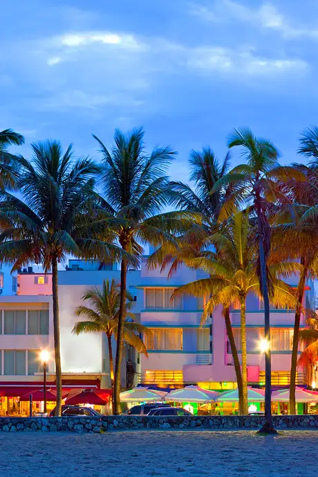 A view of Miami, Florida. Showing buildings lit up at night with a row of palm trees in front of them