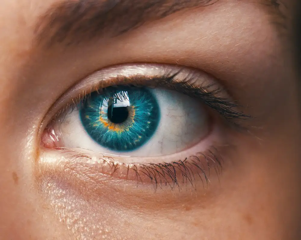 A persons Eye