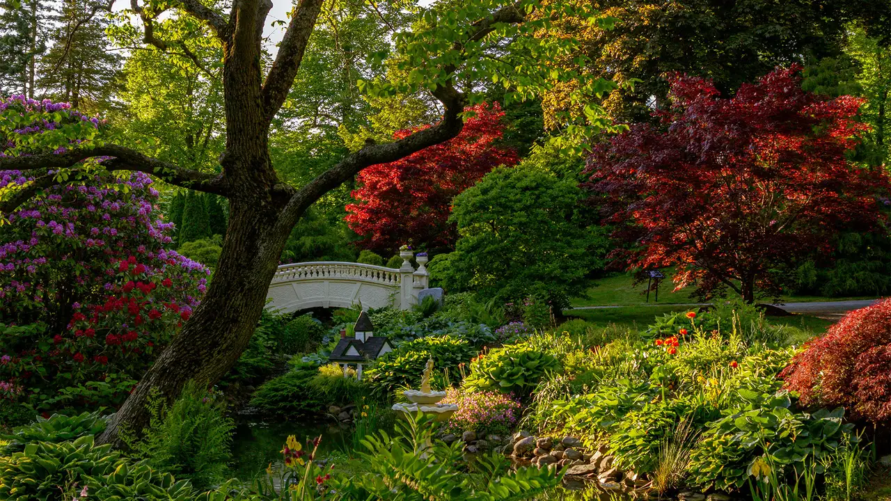 A Park in Halifax, Nova Scotia
