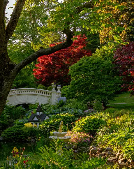A Park in Halifax, Nova Scotia