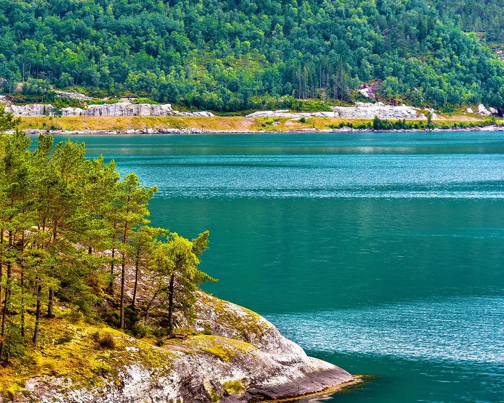 A view of a Fjord