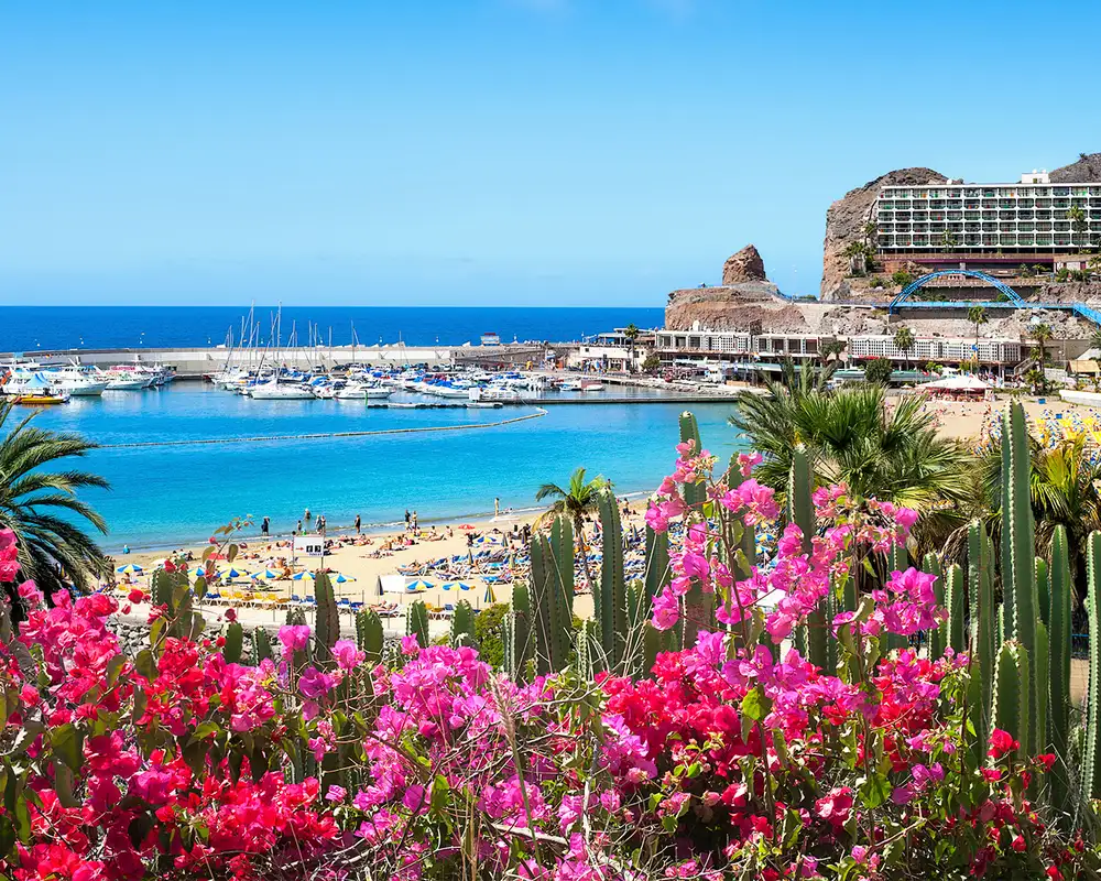 A view of a beach on Gran Canaria, showing various plant life, hotels and a marina