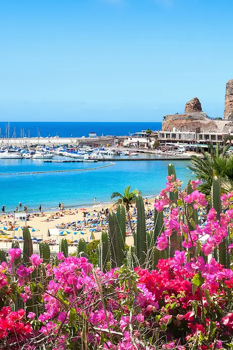 A view of a beach on Gran Canaria, showing various plant life, hotels and a marina