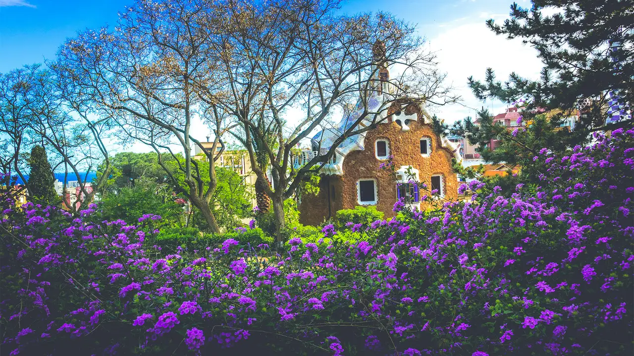 A view of the flowers in Park Guell in Barcelona