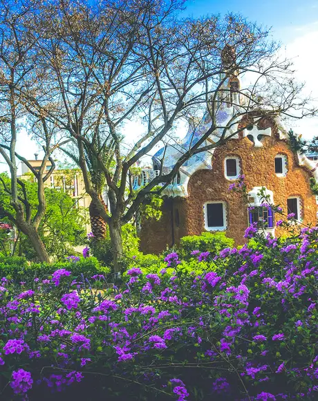 A view of the flowers in Park Guell in Barcelona