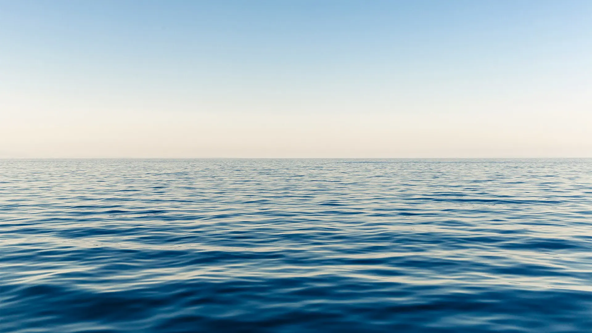 The Ocean