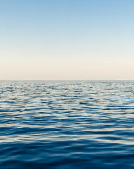 The Ocean