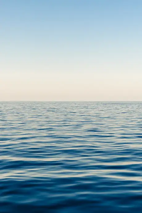The Ocean